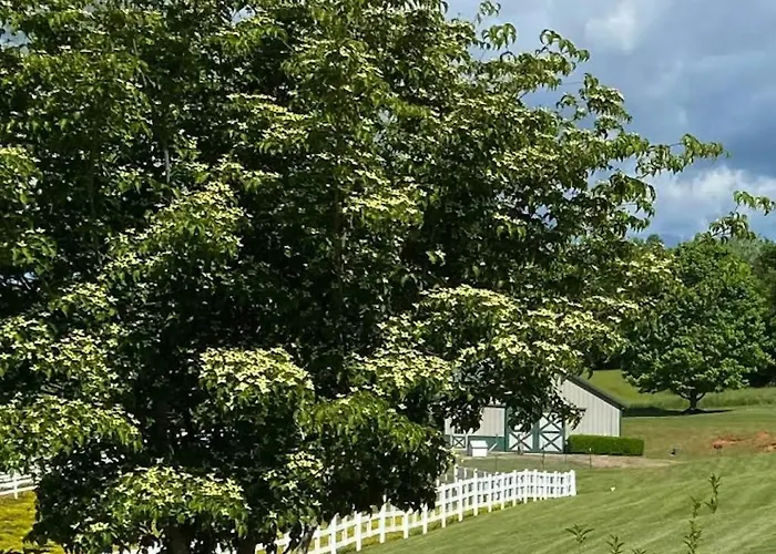 Gibbs Getaway