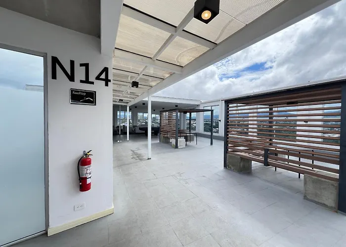 La Rana Studio