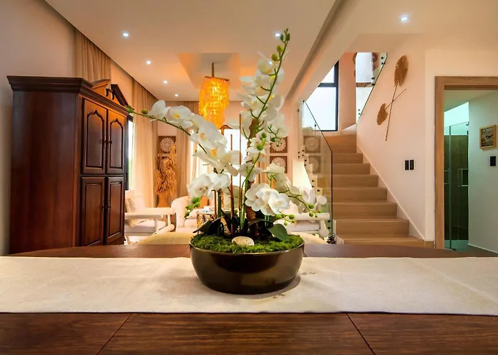 Vista Cana | Villa 3Hab Con Piscina Privada
