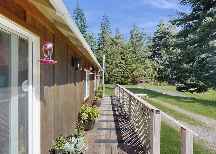 Dog-Friendly Cabin Tucked Into The Trees With Wifi Washer&Dryer & Ocean Views