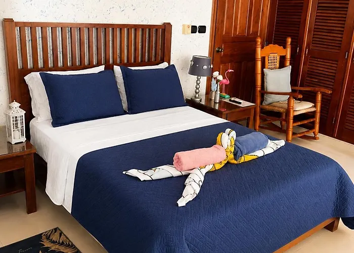 1 Sol Dominicus Solo Adultos Habitacion Con Entrada Independiente Y Bano Privado