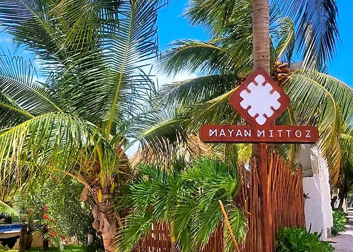 Perros hoteles Mayan Mittoz