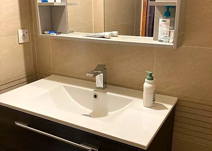 Chambres Chez L'Habitante Hermes A Blagnac