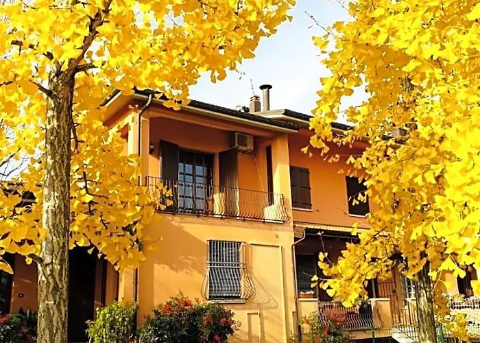 Mo Va Là