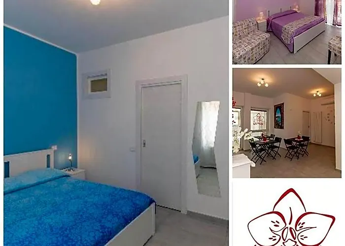 B&B Orchidea