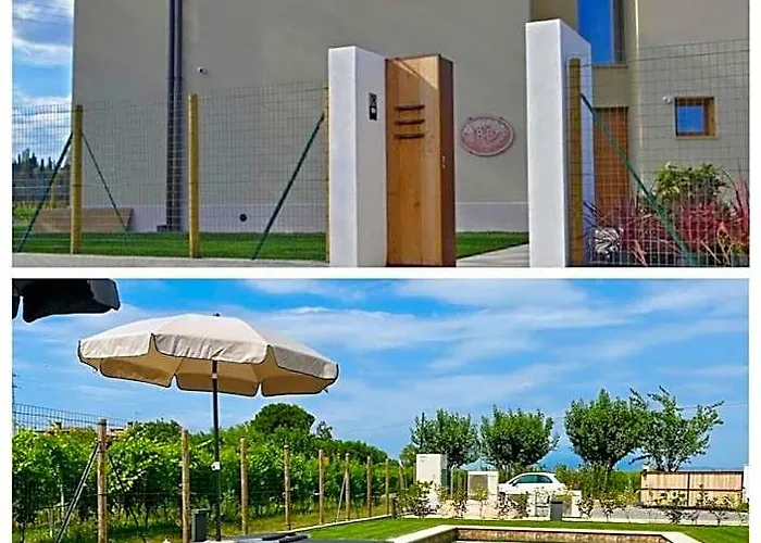 Il Vigneto