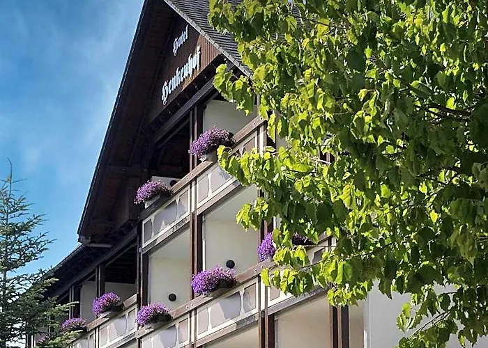 Landhotel Henkenhof Willingen