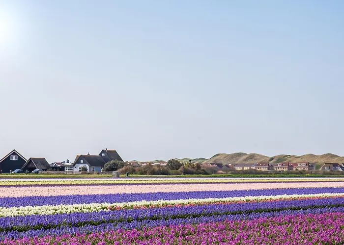 Chalet Luttikduin Nr 22 - Callantsoog Aan Zee