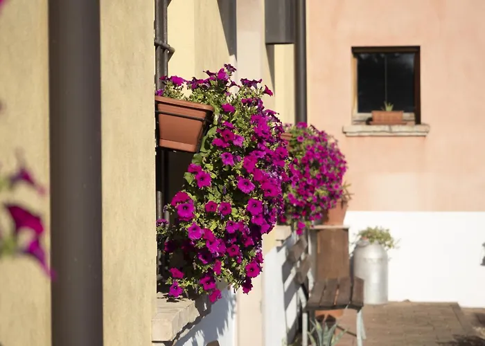 Agriturismo Borgo Del Mincio