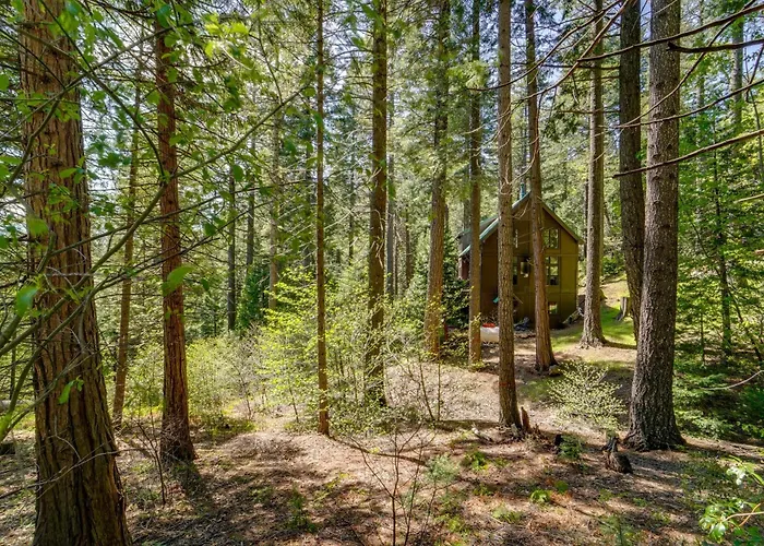 Hike, Bike & Swim! Wooded Retreat In Nevada City