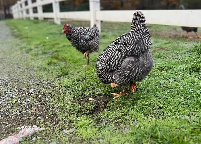 The Milk Barn Farm Stays
