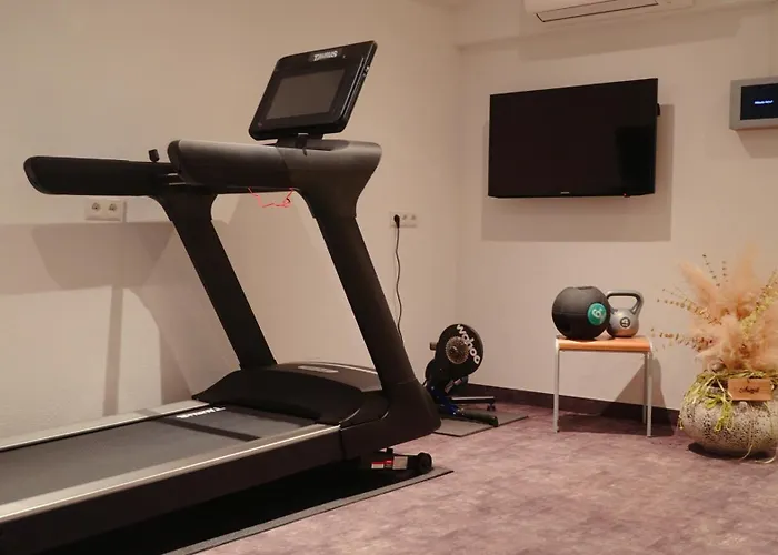 Aktiv s