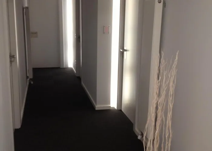 Apartaments I Habitacions Can Morera Olot