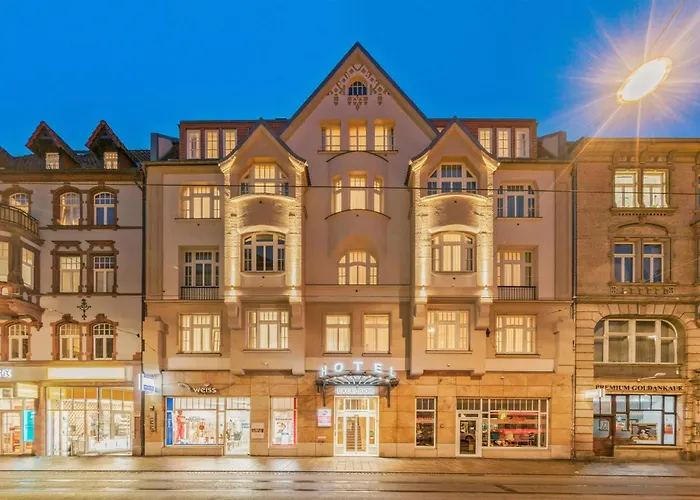 Western Plus Excelsior