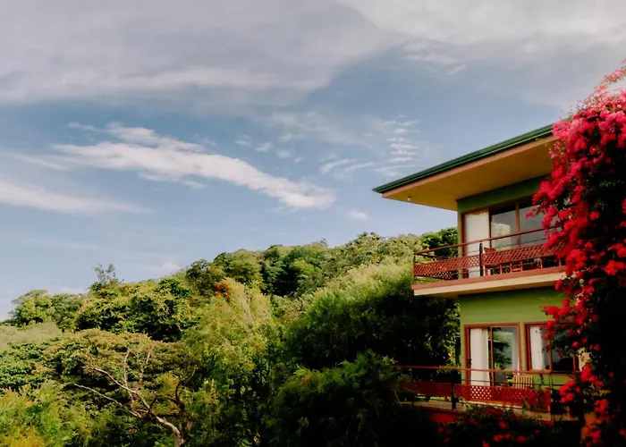 Ficus Sunset Suites