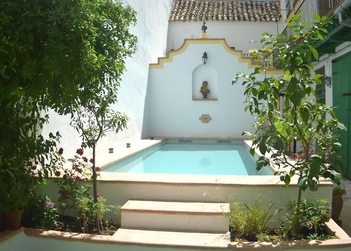 Casa Palacio Domus Astigi
