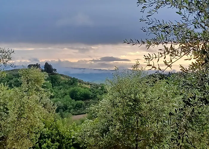 Tenuta Di Sticciano