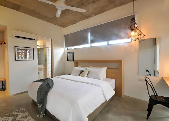 The Nest House