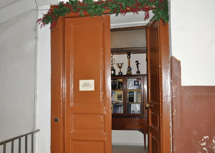 Domus Borbonica