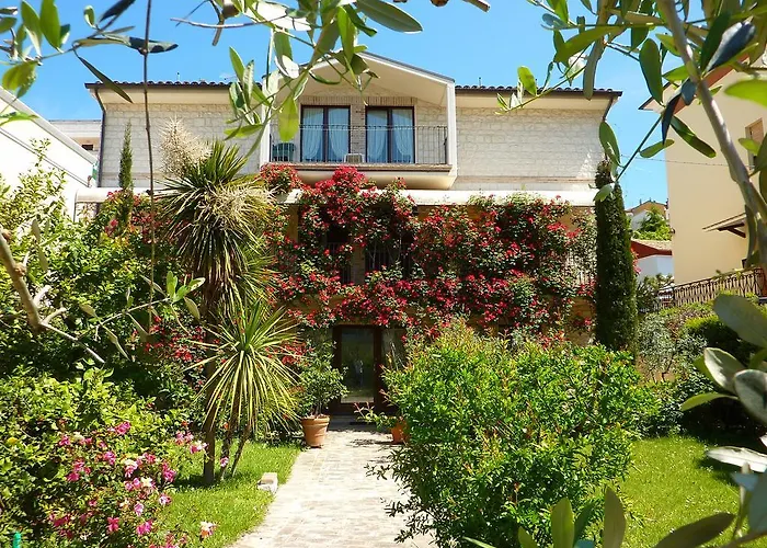 Albergo economico: Velia Mare