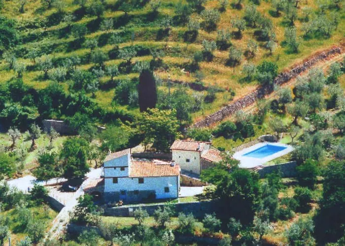 Montereggi