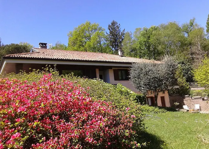 Il Picchio
