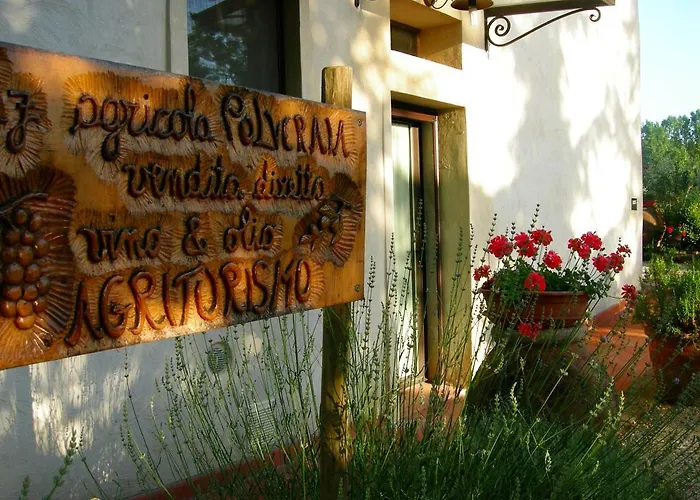 Azienda Agricola Polveraia