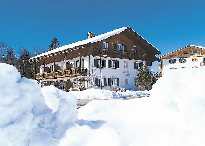 Hotel mit Hund Brigitte
