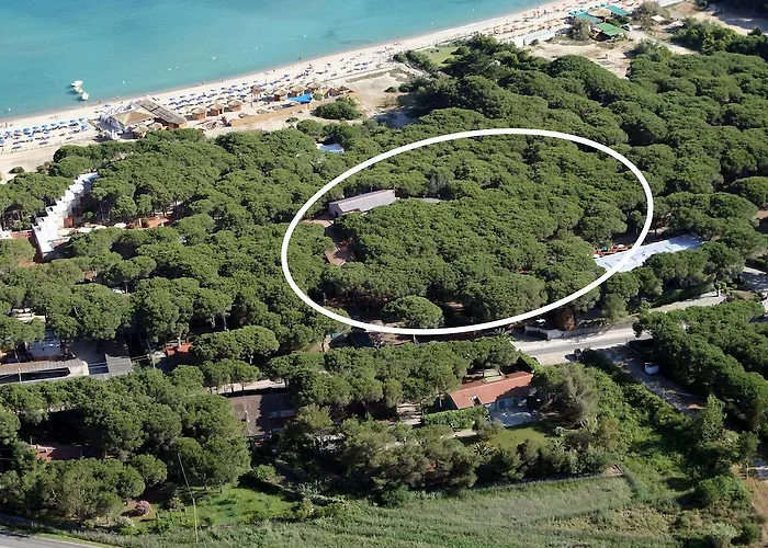 Albergo centrale: Hotel Villa Nettuno