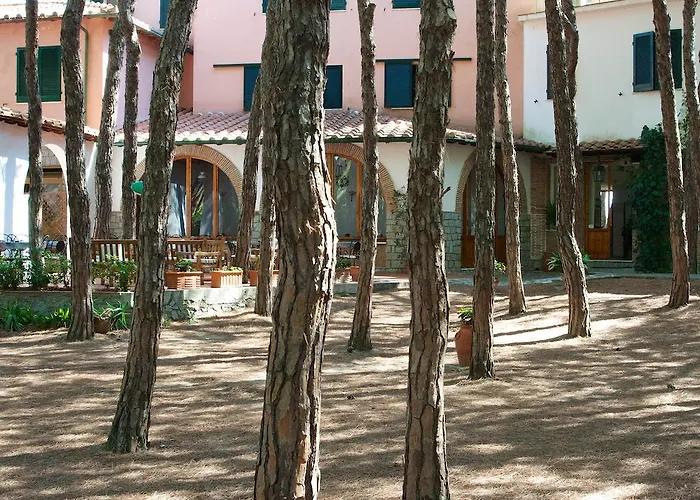 Albergo centrale: Hotel Villa Nettuno