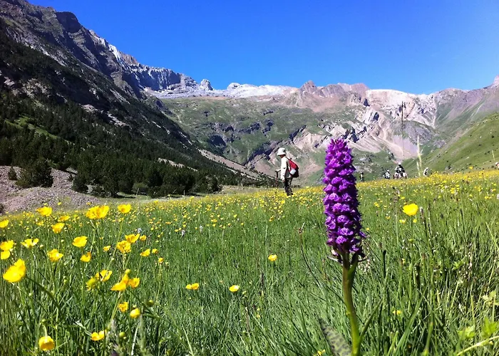 -Albergue Monte Perdido