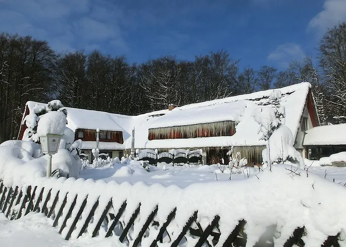 Baumhaus Hagen