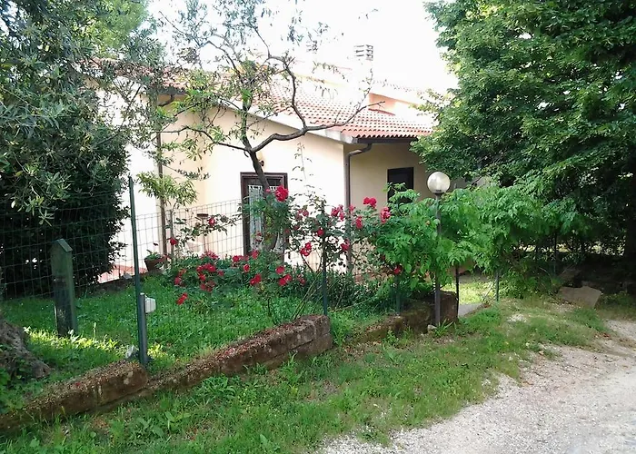 Norianino