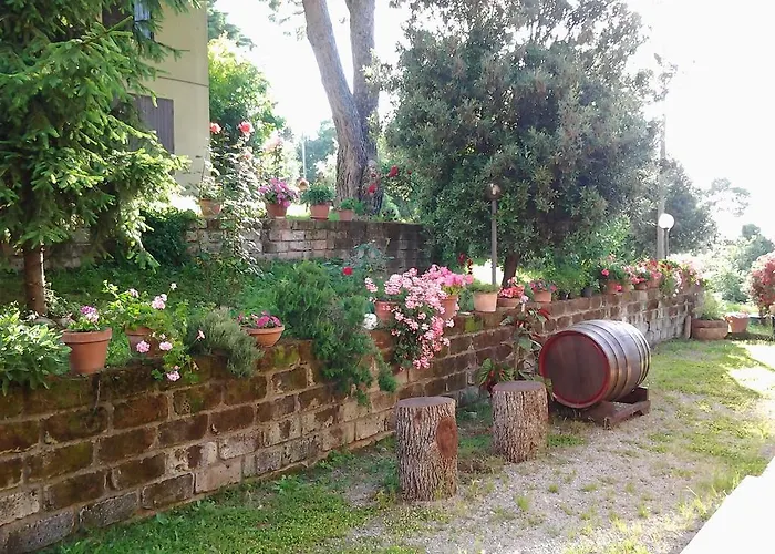  Norianino