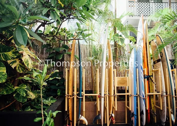 Bamboo Waikiki