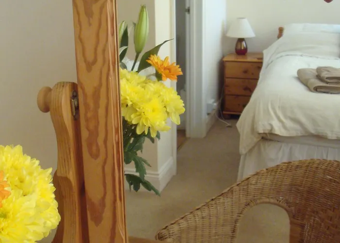 Pension Guide Harlequin Guest House With Parking