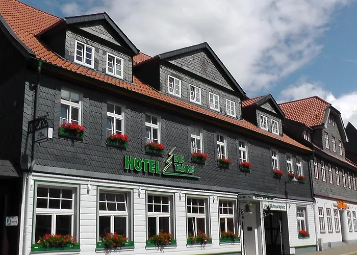 Die Tanne