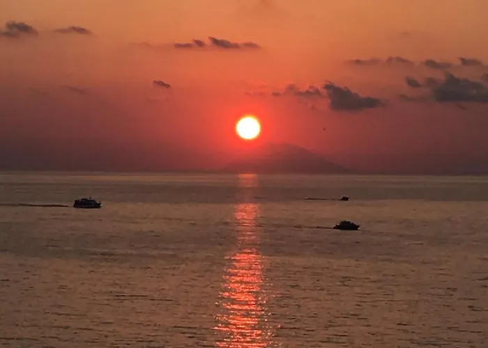 Hotel adatto agli animali: Hotel Valemare