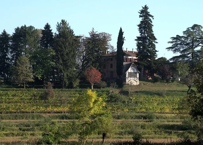 Casali del Picchio - Winery