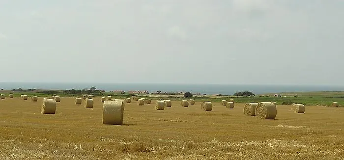 Les Carcahutes