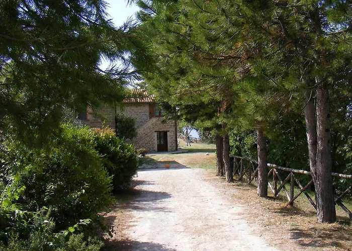  Guinzano
