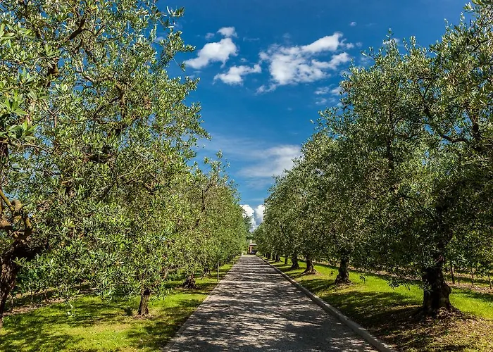 Cabina: Quercia Belvedere Relais
