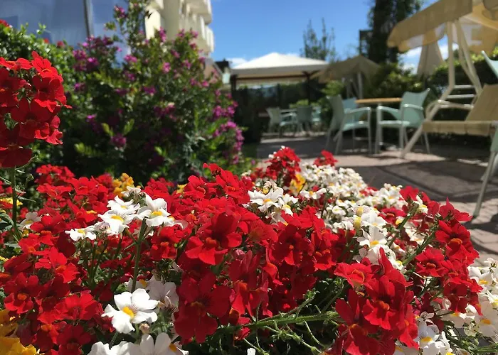 Hotel familiare: Hotel Consul