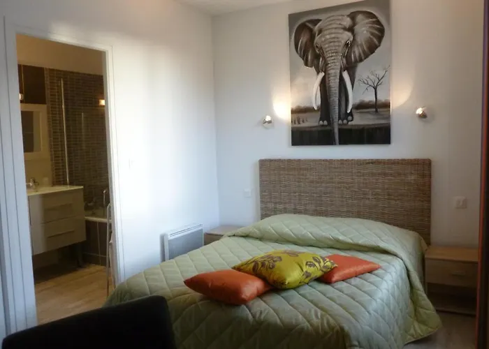 Hôtel accueillant les animaux: Hotel Jersey