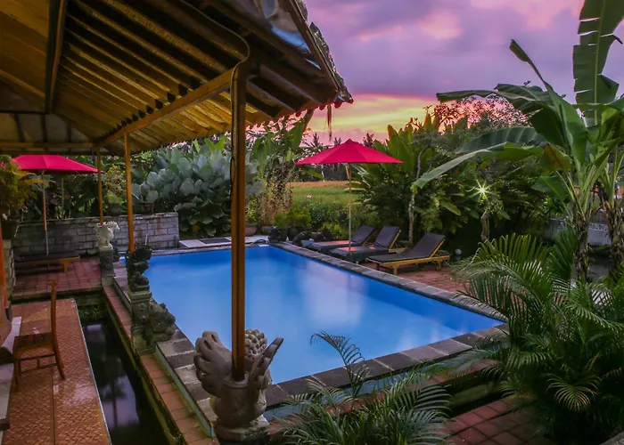 Guest house: Soca House