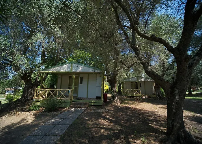 Hotel: Villaggio Turistico Camping Il Fontino