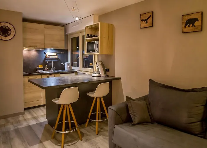 Studio Belmont - Centre village la Clusaz - AravisTour