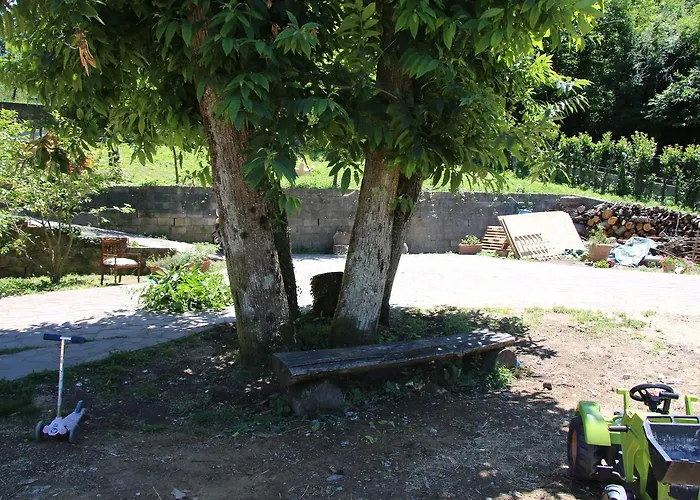 Hotel adatto agli animali: podere il sorriso degli angeli