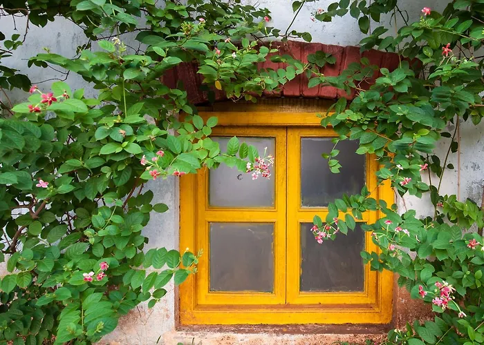 Cosy Homestay By Stayvista - A Tranquil Retreat On Cloud 9