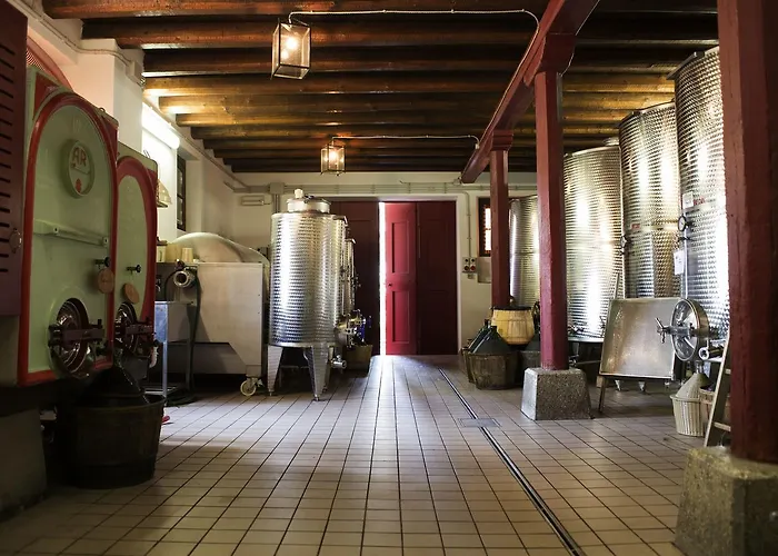 Casali del Picchio - Winery